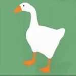 GOOSE HONK (copy)