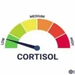 Low cortisol