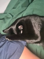 TUCA DONKA (best part looped)