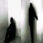 overtonight red wine