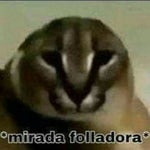 decime que sos argentino sin decirme que sos argentino