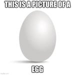 I pLaY pOkEmOn Go EvErYdAy!1!