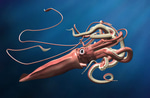 the kraken