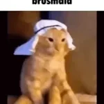 arabic i love you so