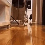 je suis là pt je suis plus la