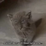 OMG IM COMING - Sound