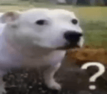 Huh Dog Extended