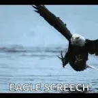 We hit ‘em with that American