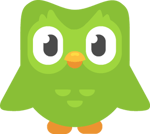 duolingo completed lesson