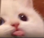 emergency! paging dr beat!