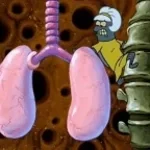 lungs