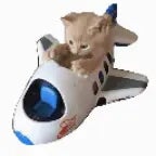 Airplane mode hoodtrap