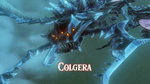 Colgera best part