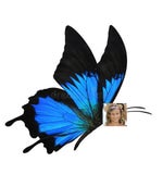 EL VIAJE EMPIEZA YA - Sound