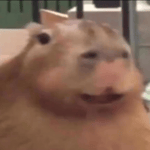 u i i a i o u i i i a i - Sound