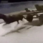 George Michael - Careless Whisper (Official Video)(MP3_160K)