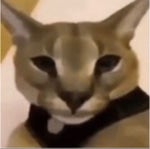 lightskin stare (earrape)