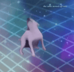 heads will roll dance till you're dead