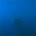 Recording 08/10/25 20:50:20