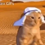 Indian Street Food Meme