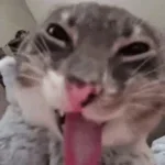 heute ist wieder freitag