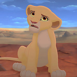 The lion sleeps tonight but it’s uncomfortable