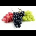 Grape Scissors