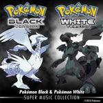 Tight Spot During Battle! - Pokemon Black and White