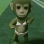 dance monkey