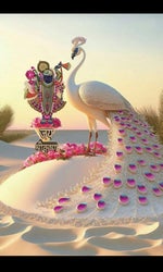 DJ Bravo Champion MusicOnly