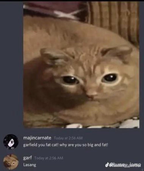 Waffle Iron by UnhingedMemes Sound Effect Meme Button Tuna