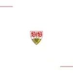 VfB Stuttgart Torhymne 202324