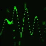 DPCM Amen Break