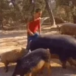 mnogoobeschayuschiy zvuk