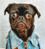 ive been waiting to shoot this fella for so long