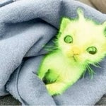 RAIDEN HES RIGHT BEHIND ME