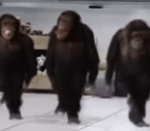 Oye bro Que pasa broo Cierra los ojos broooo - Sound