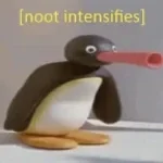 noot noot