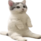 sorry digga aber welcher