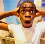 SOME ANIMALS GIVE ME