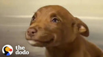 AHHHHHHHHHHHHHHH HA HA HAAAAA HA     HA     HA
