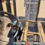 Please Speed I Need This! (copy)