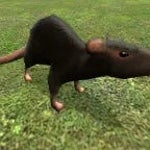 oye-gela-escuchate-esto-saturado (copy)