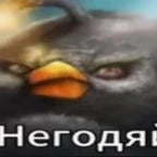 Anavi bacini varyoxunu neslivi