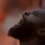 scream help at the top of your lungs