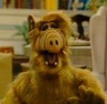 ALF Laugh