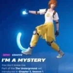 im a mystery fn