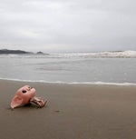 Dobby tomou uma facada no peito