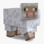 Step5 - sheep
