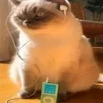 buggys sadniss